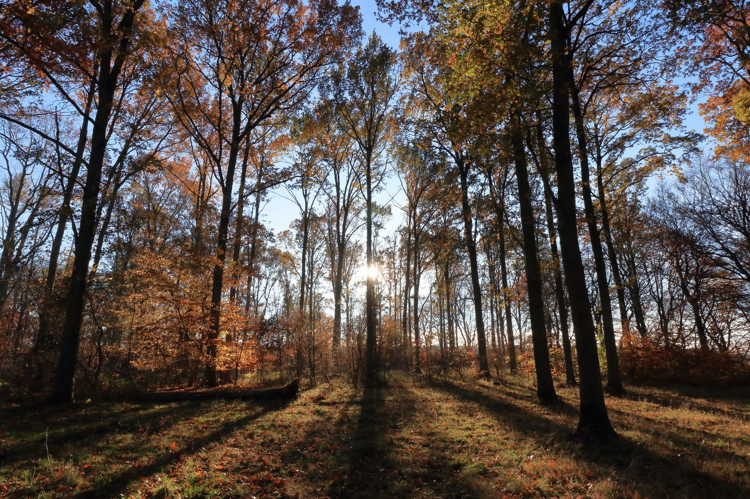 Lolland-Falsters Stift bidrager til national klimaindsats